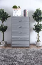 Furniture of America CM7075C Mccredmond - Chest - Silver