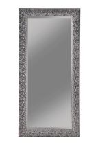 CoasterEveryday 901999 Rollins - Rectangular Floor Mirror - Black