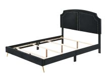 ACME BD01176Q Zeena - Queen Bed - Black Velvet