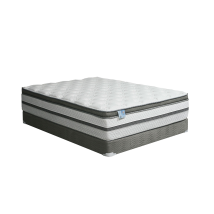 Furniture of America DM339Q-M Siddalee - Euro Pillow Top Mattress 80" x 60" - White