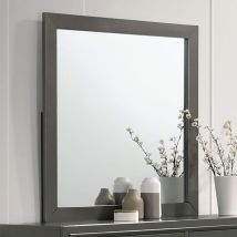 Furniture of America CM7416GY-M Alison - Mirror - Dark Gray