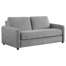 Coaster Fine Furniture 360029 Rylie - Upholstered Sofa Sleeper With Queen Mattress - Gray