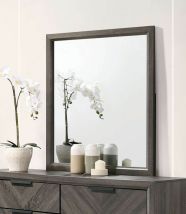 Furniture of America CM7472GY-M Vagan - Mirror