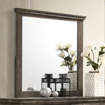Furniture of America CM7186M Fortworth - Mirror - Gray
