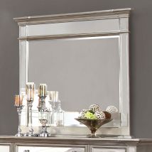Furniture of America CM7673M Salamanca - Mirror - Silver