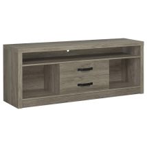 CoasterEssence 701024 Burke - 2-Drawer Engineered Wood TV Stand - Gray Driftwood