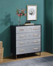 ACME AC00959 Myles - Chest - Black, Silver & Gold Finish