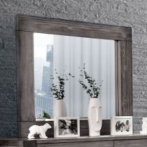 Furniture of America CM7628GY-M Janeiro - Mirror - Gray