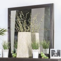 Furniture of America CM7580EX-M Berenice - Mirror - Espresso