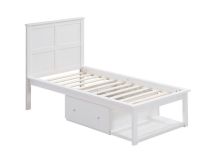 ACME BD00649T Iolanda - Twin Bed - White Finish