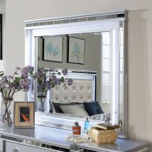 Furniture of America CM7992M Bellinzona - Mirror - Silver