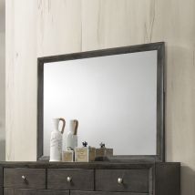 ACME 28474 Ilana - Mirror - Gray Finish