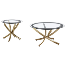 CoasterEveryday 707888-S2 Brooke - 2 Piece Round Glass Top Coffee Table Set - Brass