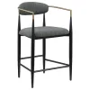Coaster Fine Furniture 121186 Tina - Fabric Upholstered Counter Chair (Set of 2) - Dark Gray