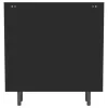Coaster Fine Furniture 950385 Dalia - 2 Door Accent Storage Cabinet With Shelving - Black