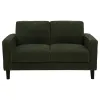 Coaster Fine Furniture 511215 Ruth - Fabric Upholstered Track Arm Loveseat - Matcha Green