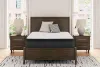 Sierra Sleep® by Ashley M41241 Sierra Sleep® by Ashley M41241 Limited Edition Pt - King Mattress - White