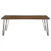 CoasterEssence 193861 Neve - Live Edge Dining Table - Gray Sheesham