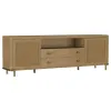 Coaster Fine Furniture 720253 Arini - Rattan Cane 2-Door TV Stand Media Console - Sand Wash