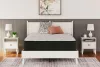 Ashley Sleep® M40631 Elite Springs Plush - Queen Mattress - Gray / Blue