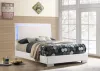 CoasterEssence 203500F Felicity - Wood Full LED Panel Bed - White High Gloss