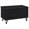 Coaster Fine Furniture 915152 Brixton - 2-Door Padded Entryway Shoe Storage Bench - Black