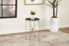 CoasterEssence 936061 Eliska - Round Green Marble Top Accent Side Table - Antique Gold