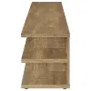 Coaster Fine Furniture 710543 Cartmill - 2-Tier TV Stand Media Console - Mango