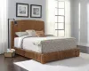 CoasterEssence 300501Q Laughton - Banana Leaf Queen Panel Bed - Amber