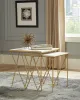 CoasterEssence 930075 Bette - 2 Piece Marble Top Nesting Table Set - White And Gold