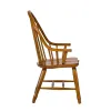 Liberty Furniture 17-C2051 Treasures - Bow Back Arm Chair - Rustic Oak