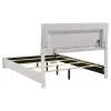 CoasterEssence 203500Q Felicity - Wood Queen LED Panel Bed - White High Gloss