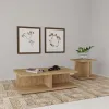 Coaster Fine Furniture 706178-S2 Cortona - 2 Piece Coffee And End Table Set - Mango