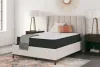 Sierra Sleep® by Ashley M41031 Sierra Sleep® by Ashley M41031 Limited Edition Firm - Queen Mattress - White