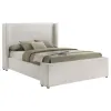 Coaster Fine Furniture 310078Q Alamosa - Boucle Upholstered Queen Wingback Bed - White