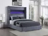 Coaster Fine Furniture 306030Q Tisdall - Upholstered Queen Fireplace Bed - Gray