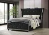 Coaster Fine Furniture 223161Q Lorient - Queen LED Upholstered Wingback Bed - Black