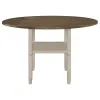 CoasterEssence 192818 Sarasota - Extension Counter Dining Table - Rustic Cream
