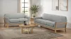 Coaster Fine Furniture 511071-S2 Vaughn - 2 Piece Fabric Upholstered Flared Arm Sofa Set - Gray