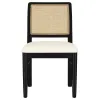 Coaster Fine Furniture 108932BLK Arini - Rattan Cane Dining Side Chair (Set of 2) - Black