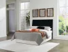 Ashley Furniture B1013-57 Ashley Furniture B1013-57 Danziar - Queen Panel Headboard - Black