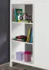 Furniture of America CM-BK970-BED Cassidy - Twin Loft Bed With Drawers - White