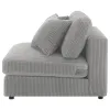 Coaster Fine Furniture 509997 Blaine - Upholstered Armless Chair - Fog