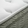 Furniture of America DM337CK-M Afton - Euro Box Pocket Coil 84