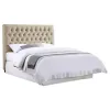 CoasterEssence 300007FB1 Chloe - Upholstered Full Panel Headboard - Oatmeal