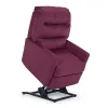 Best Home Furnishings 2AZ53V Davida Power Tilt Headrest Three Motor Lift Recliner