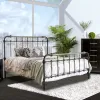 Furniture of America CM7733F Riana - Metal Full Bed - Antique Black