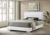 CoasterEssence 203500Q Felicity - Wood Queen LED Panel Bed - White High Gloss