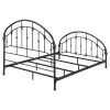 CoasterEssence 300407Q Rowan - Metal Queen Open Frame Bed - Dark Bronze