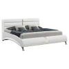 CoasterEssence 300345KW Jeremaine - Upholstered California King Sleigh Bed - White
